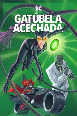 Poster Catwoman: La caza 2022