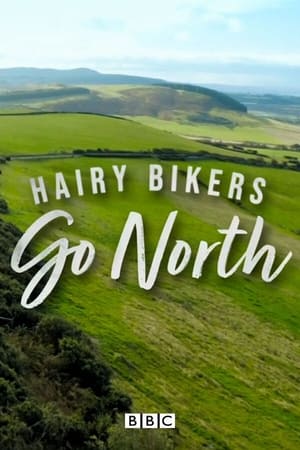 Poster The Hairy Bikers Go North 2021