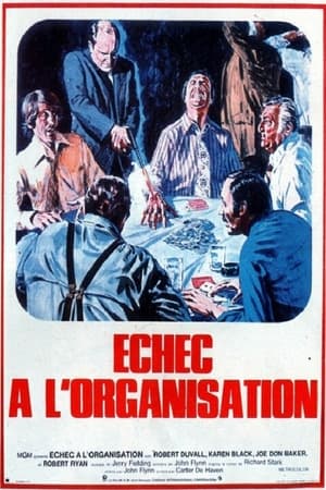 Poster Échec à l'organisation 1973