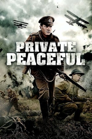 Poster Private Peaceful 2012