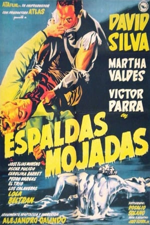 Poster Espaldas mojadas 1955