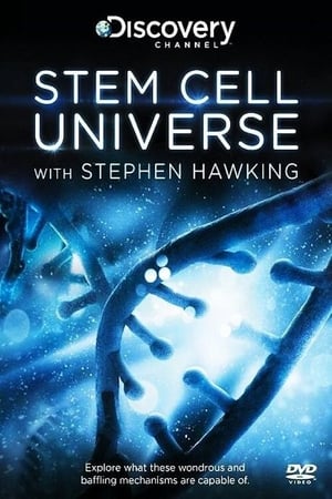 Image Stephen Hawking: az őssejtek világa