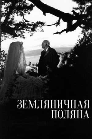 Poster Земляничная поляна 1957