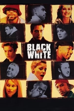 Poster Black & White – Gefährlicher Verdacht 1999