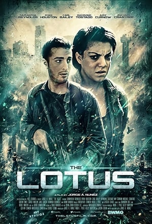 Poster The Lotus 2018