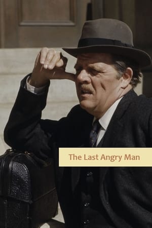 Poster The Last Angry Man 1974