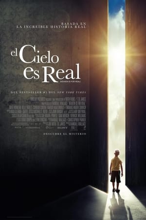 Poster El cielo es real 2014