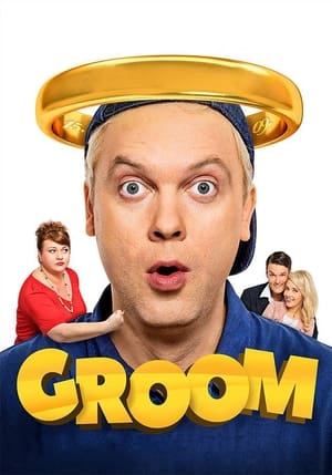 Poster The Groom 2016