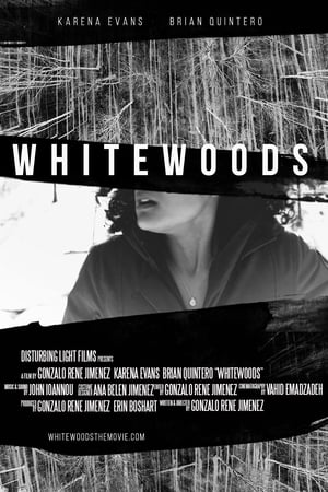Poster WhiteWoods 2016