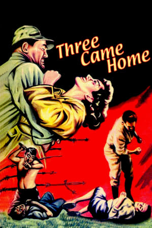 Poster Three Came Home 1950