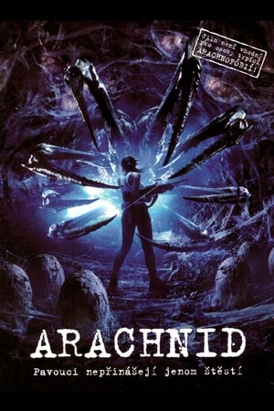 Poster Arachnid 2001