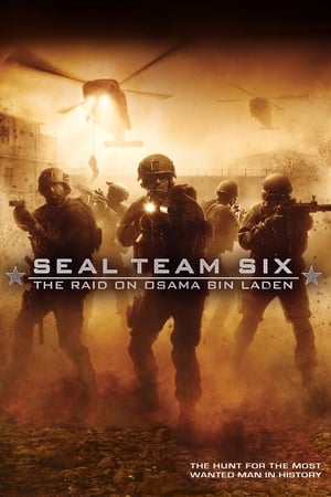 Image Seal Team 6: Dopadení Usámy bin Ládina