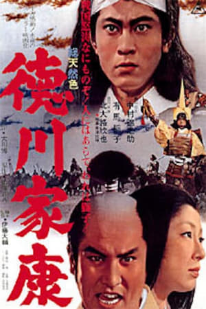 Poster 徳川家康 1965