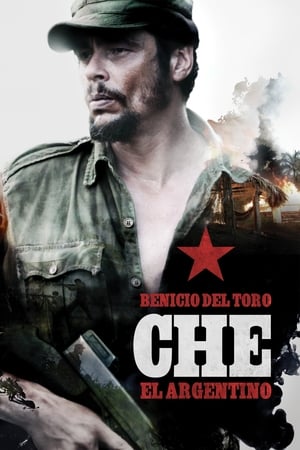 Poster Che: El argentino 2008