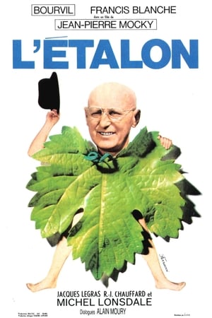 Poster L'Étalon 1970