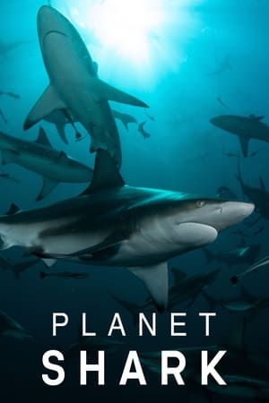 Image Planet Shark