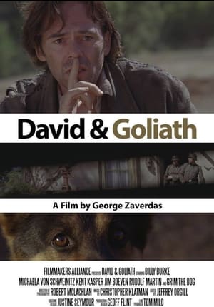 Poster David and Goliath 2010