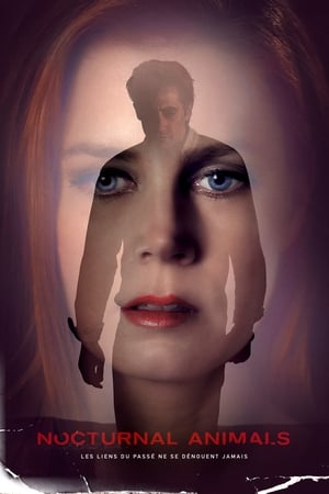 Poster Nocturnal Animals 2016