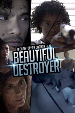 Image Beautiful Destroyer