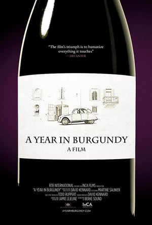 Poster A Year in Burgundy 2013