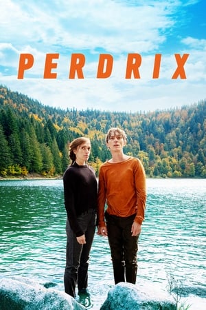 Poster Perdrix 2019