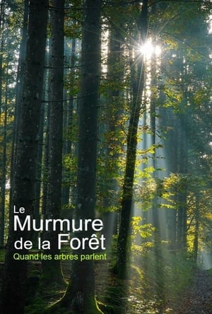 Image Unsere Wälder - Die Sprache der Bäume