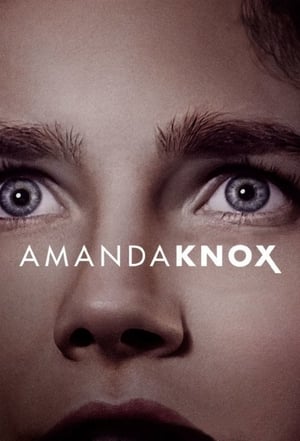 Poster Amanda Knox 2016