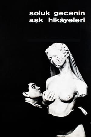 Poster Soluk Gecenin Aşk Hikayeleri 1966