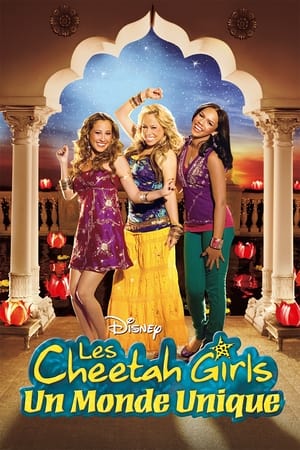 Poster The Cheetah Girls 3 : Un monde unique 2008