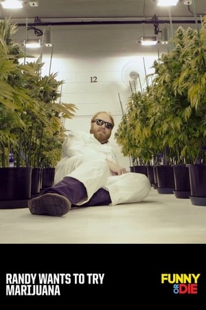 Image Randy Wants To Try Marijuana