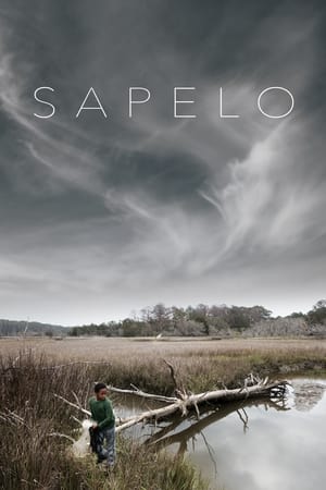 Poster Sapelo 2020