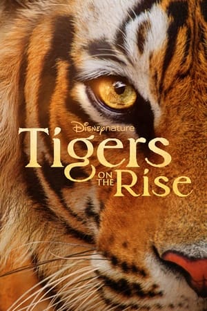 Poster Tigres : le making of 2024