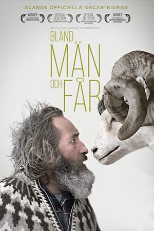 Poster Bland män och får 2015