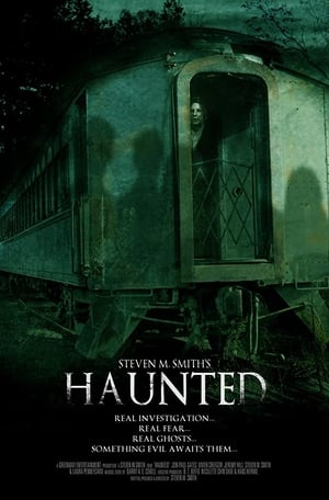 Poster Haunted 2013