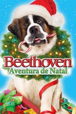 Poster Beethoven Salva o Natal 2011