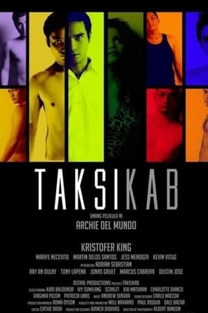 Poster Taksikab 2011
