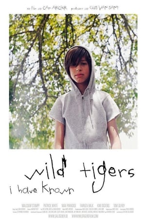 Image Wild Tigers I Have Known