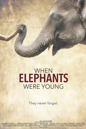 Poster When Elephants Were Young 2016