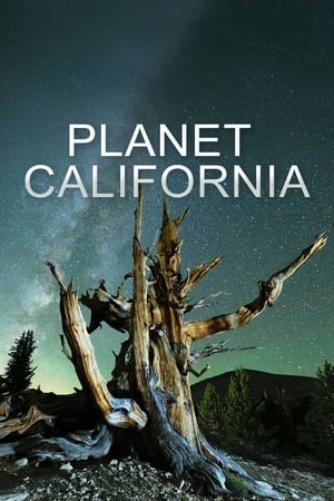 Image Planet California