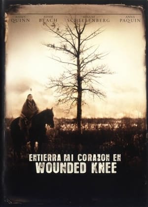 Image Entierra mi corazón en Wounded Knee