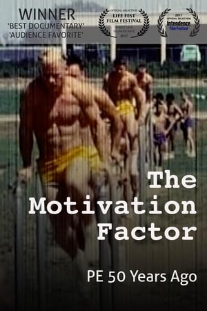 Poster The Motivation Factor: to Become Smart, Productive & Mentally Stable 2017