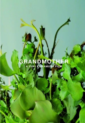 Poster Grandmother 2010