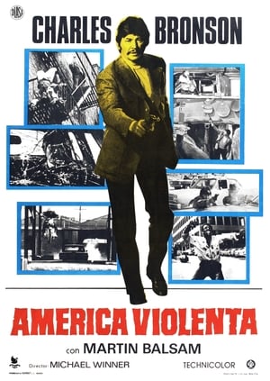 Poster América violenta 1973