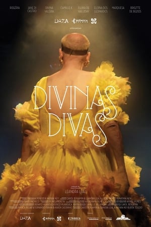 Poster Divinas Divas 2016