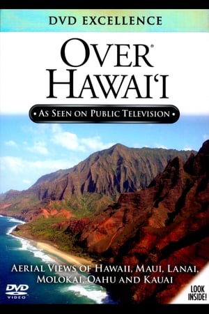 Poster Over Hawaii 2011