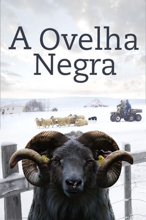 Poster A Ovelha Negra 2015