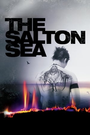 Image The Salton Sea