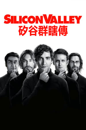 Poster 硅谷 2014