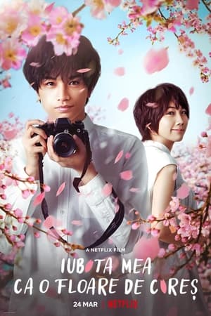 Poster 桜のような僕の恋人 2022