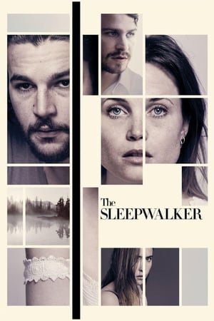 Poster The Sleepwalker 2014